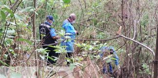 Foto: Hallazgo de cuerpo en zona montosa de Matagalpa / TN8