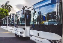 Foto: Nuevos buses para el transporte público de Nicaragua / TN8