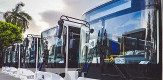 Foto: Nuevos buses para el transporte público de Nicaragua / TN8