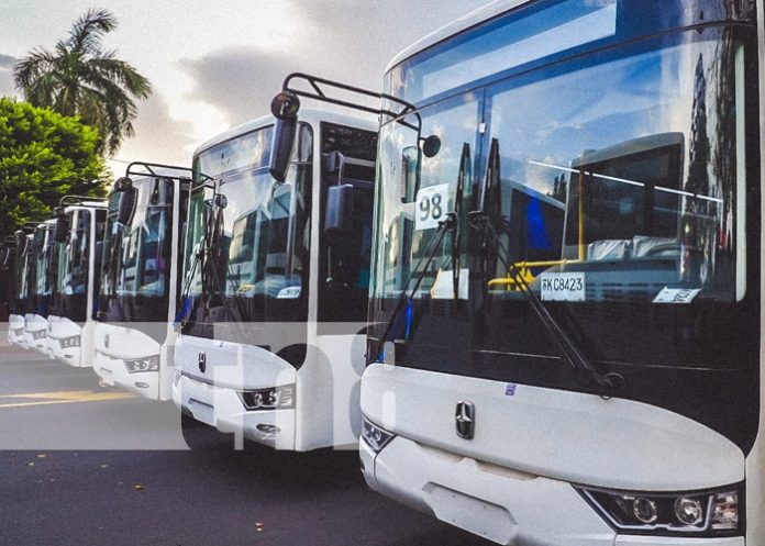 Foto: Nuevos buses para el transporte público de Nicaragua / TN8 Foto: Nuevos buses para el transporte público de Nicaragua / TN8