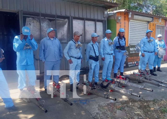 Foto: Fumigación en Miraflores, Distrito II de Managua / TN8 Foto: Fumigación en Miraflores, Distrito II de Managua / TN8