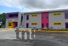 Nace un nuevo espacio académico: La Universidad de Emprendedores «La Sandino» Foto: Nueva Universidad de Emprendimientos, "La Sandino" / TN8