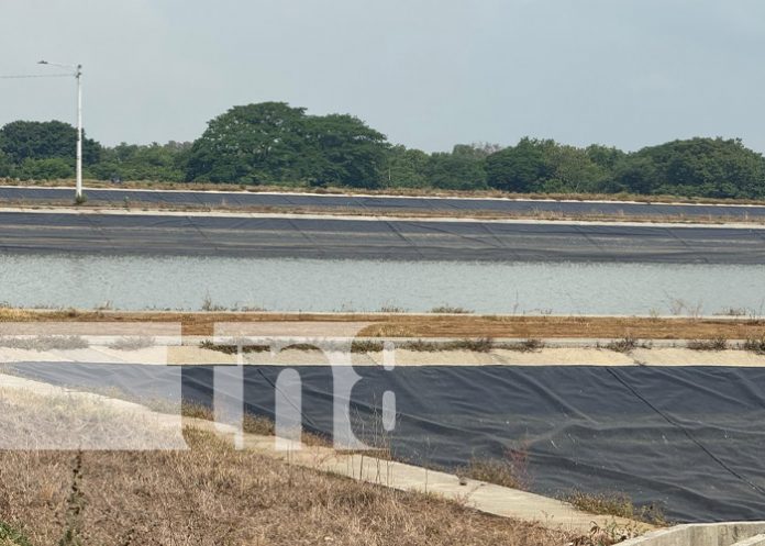 Foto: Planta de tratamientos residuales en Chinandega / TN8 Foto: Planta de tratamientos residuales en Chinandega / TN8