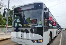 Foto: Nuevos buses chinos para Granada / TN8