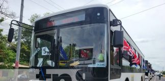 Foto: Nuevos buses chinos para Granada / TN8