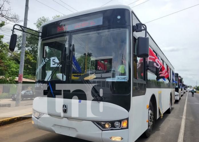Foto: Nuevos buses chinos para Granada / TN8 Foto: Nuevos buses chinos para Granada / TN8