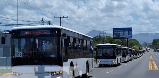 Foto: Nuevos buses chinos llegan a León / TN8