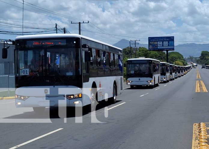 Foto: Nuevos buses chinos llegan a León / TN8 Foto: Nuevos buses chinos llegan a León / TN8