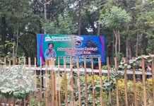 Foto: Arboretum en Ometepe / TN8