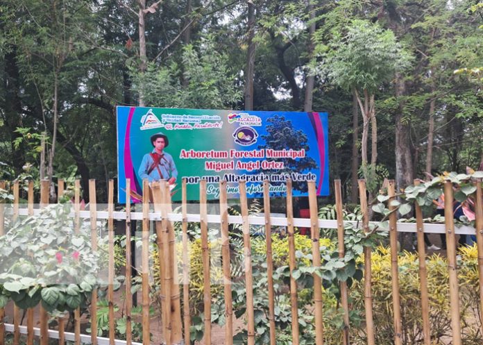 Foto: Arboretum en Ometepe / TN8