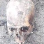 ¡Impactante! Aparece osamenta a orillas de una playa en Cárdenas, Rivas Foto: Osamenta encontrada en Cárdenas, Rivas / TN8