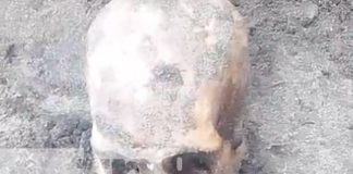 Foto: Osamenta encontrada en Cárdenas, Rivas / TN8