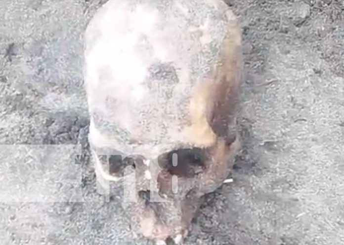 Foto: Osamenta encontrada en Cárdenas, Rivas / TN8
