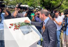 Foto: Conmemoración de la Victoria ante el Fascismo / TN8