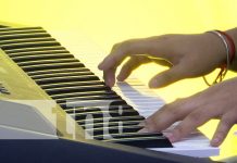 Foto: Teclas en Acción, encuentro de pianistas / TN8