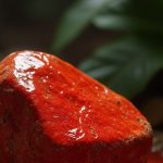 Hombre asesina a su hermano de una pedrada en Nueva Segovia