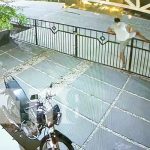 Foto: Robo en Moyogalpa, Isla de Ometepe / TN8