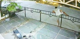 Foto: Robo en Moyogalpa, Isla de Ometepe / TN8