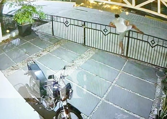 Foto: Robo en Moyogalpa, Isla de Ometepe / TN8