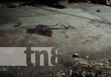 Por «billetes» mató a su primo y ahora enfrenta juicio en Managua Foto: Juicio por crimen en el barrio Laureles Norte, Managua / TN8