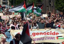 Bruselas retumba: 70 organizaciones marchan para exigir alto el fuego en Palestina Foto: En Bruselas exigen cese del genocidio en Gaza /Cortesía