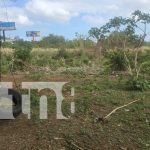 ¡Macabro hallazgo! Encuentran osamenta femenina frente a Galerías Santo Domingo Foto: Descubren osamenta frente a Galerías Santo Domingo /TN8
