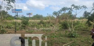 Foto: Descubren osamenta frente a Galerías Santo Domingo /TN8