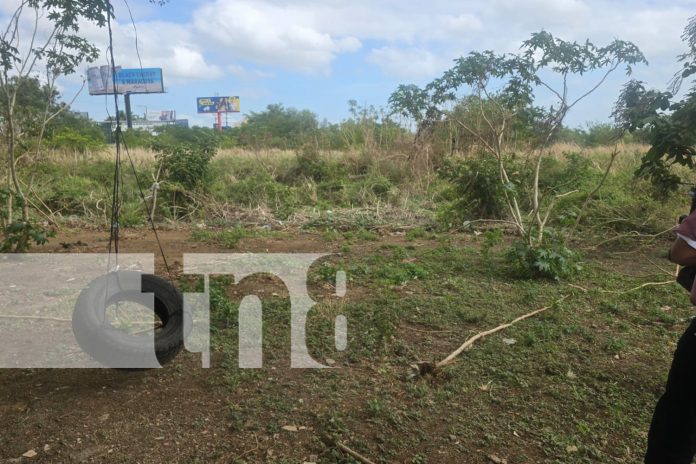 Foto: Descubren osamenta frente a Galerías Santo Domingo /TN8 Foto: Descubren osamenta frente a Galerías Santo Domingo /TN8