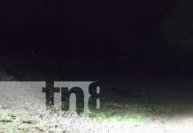 Foto: Mortal accidente en Chinandega / TN8