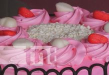 Foto: "Pasteles Helados, un dulce momento" en Somoto / TN8