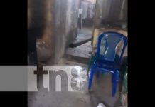 Hombre es asesinado atrozmente en Waslala, la cabeza quedó casi cercenada Foto: Crimen de odio en Waslala, Caribe Norte / TN8