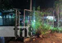 El rincón de los gatos se volvió mortal: trágico accidente en hospital de Ocotal Foto: Muere docente de Ocotal por descarga eléctrica / TN8