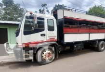 Niño de 8 años fallece en accidente de camión en Wiwilí, Nueva Segovia Foto: Mortal accidente de tránsito en Wiwilí, Nueva Segovia / TN8