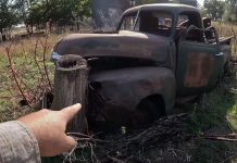 Granja abandonada con autos antiguos se vuelve viral en EEUU