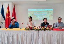 China y Nicaragua comparten avances en producción de cítricos