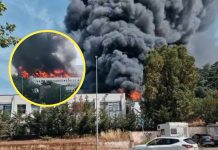 ¡Caos y pánico en Italia! Incendio arrasa con campus de la Universidad de Tuscia Foto: Autoridades evacúan Universidad de Tuscia, Italia/Cortesía