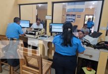 SERTRAMI Carazo revoluciona la atención con citas en línea y servicio ágil Foto: SERTRAMI Carazo optimiza servicios/TN8