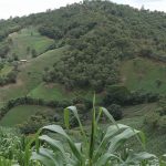 Tragedia en El Rodeo, Madriz: niño de 2 años muere arrollado por camioneta Foto: Tragedia den Madriz/ Referencia