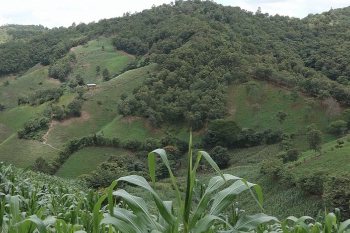 Foto: Tragedia den Madriz/ Referencia Foto: Tragedia den Madriz/ Referencia