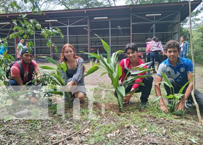 Foto: Festival ambiental de INATEC /TN8 Foto: Festival ambiental de INATEC /TN8