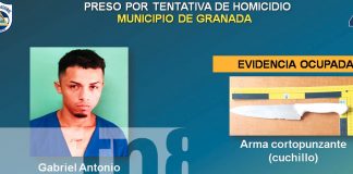 Foto: Seguridad reforzada en Granada/TN8