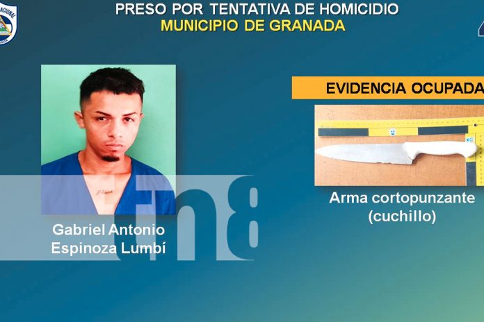 Foto:  Seguridad reforzada en Granada/TN8 Foto: Seguridad reforzada en Granada/TN8