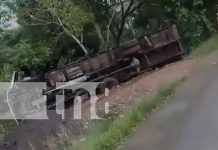 Foto: Otro accidente en el Triángulo Minero: camión cargado de ganado se da vuelta/TN8