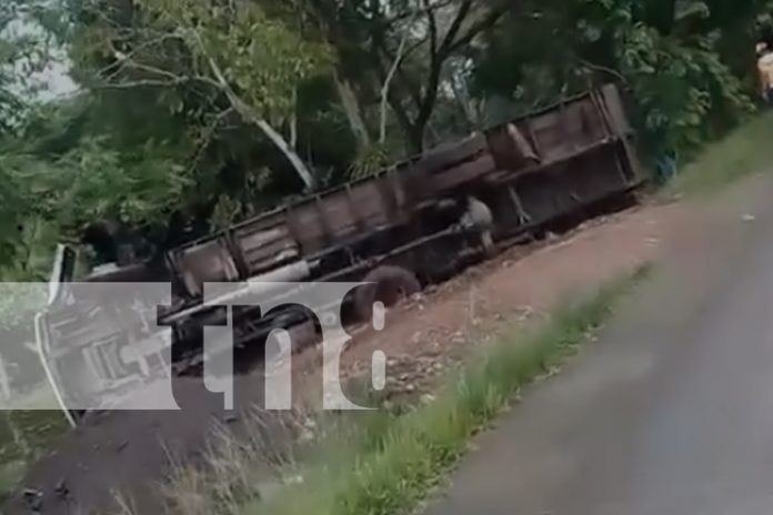Foto: Otro accidente en el Triángulo Minero: camión cargado de ganado se da vuelta/TN8