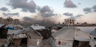 Foto: Asesinan a 35 palestinos/Cortesía