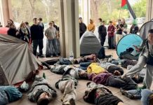 Universitarios de Barcelona piden cortar lazos académicos a Israel Foto: Movilización estudiantil en Barcelona /cortesía