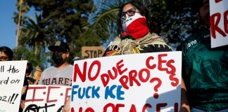 Foto: Gobernador de Florida autoriza el atropello de manifestantes /Cortesía