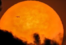 La NASA revela imágenes inéditas de la atmósfera exterior del Sol Foto: El Sol como nunca antes /cortesía