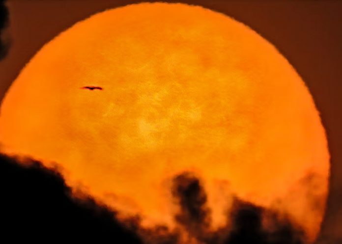 Foto: El Sol como nunca antes /cortesía Foto: El Sol como nunca antes /cortesía