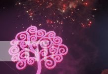 Foto: Condega celebra la paz y productividad con su nuevo Árbol de la Vida/TN8